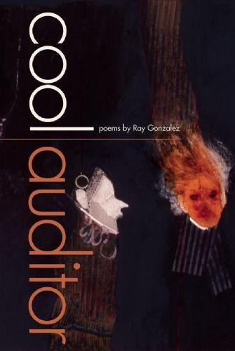 cover image Cool Auditor