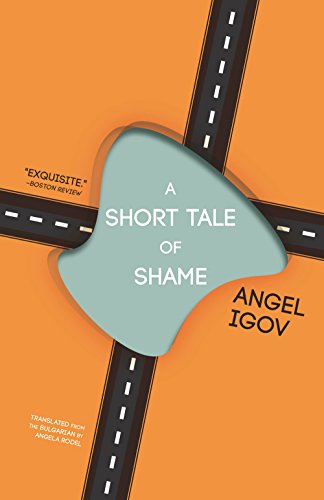 cover image A Short Tale of Shame