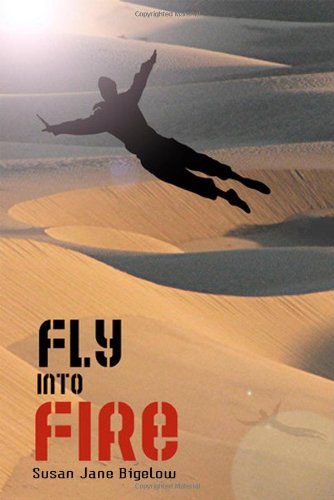 cover image Fly Into Fire