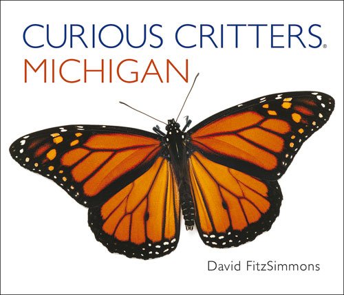 cover image Curious Critters Michigan
