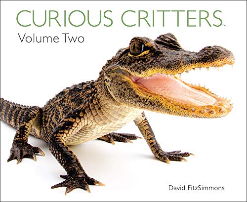 cover image Curious Critters Volume Two