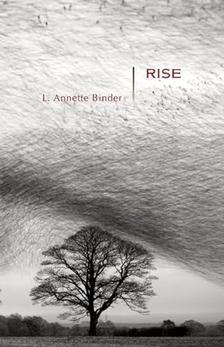 cover image Rise