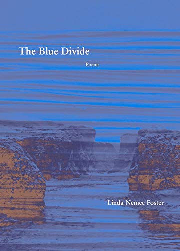 cover image The Blue Divide 