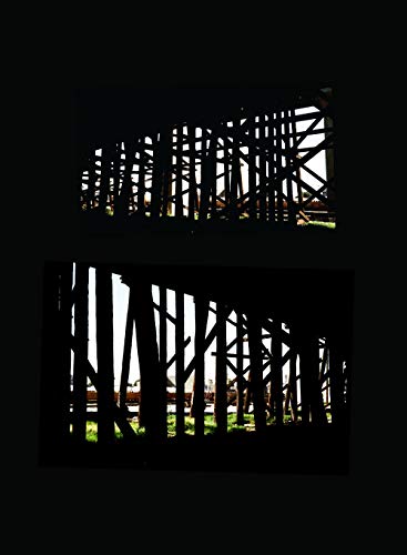 cover image In Brazen Fontanelle Aflame