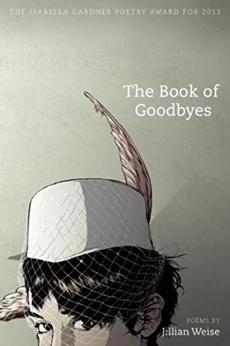 cover image The Book of Goodbyes