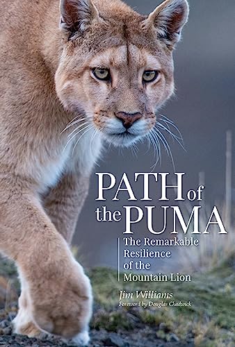 cover image Path of the Puma: The Remarkable Resilience of the Mountain Lion