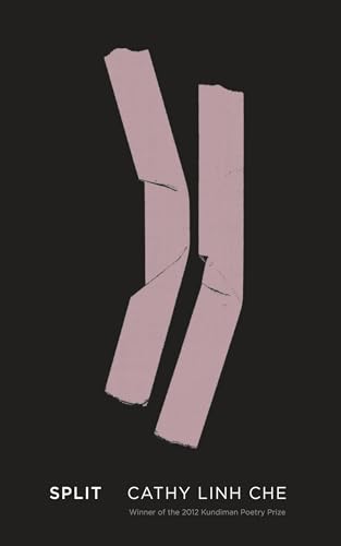 cover image Split