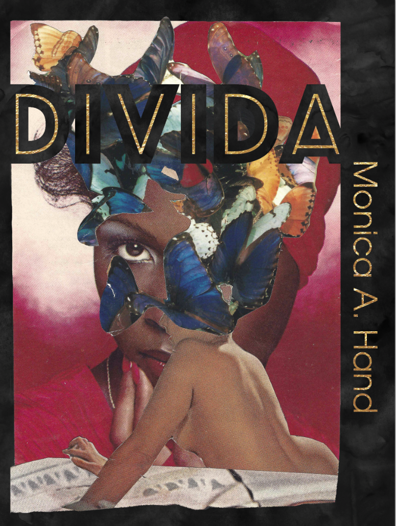cover image DiVida