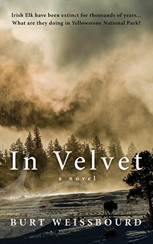 cover image In Velvet 