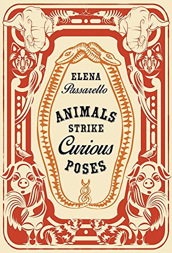 cover image Animals Strike Curious Poses: Essays