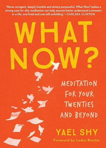 cover image What Now? Meditation for Your Twenties and Beyond