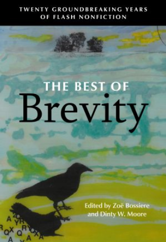 cover image The Best of Brevity: 20 Groundbreaking Years of Flash Nonfiction 