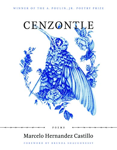cover image Cenzontle