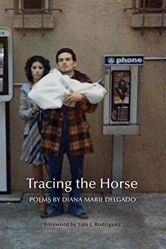 cover image Tracing the Horse