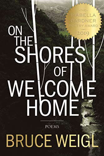 cover image On the Shores of Welcome Home