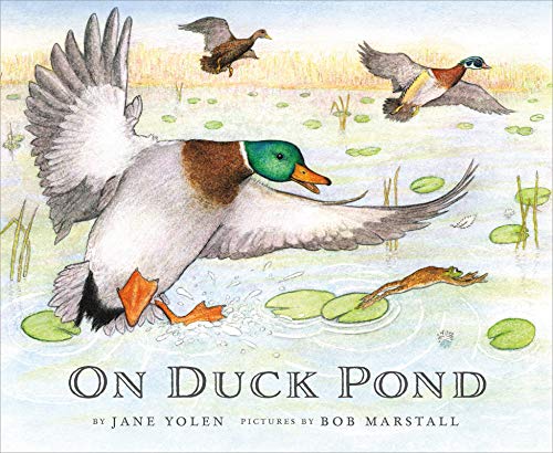 cover image On Duck Pond