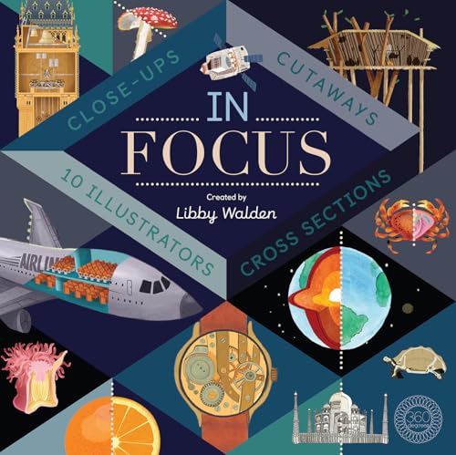 cover image In Focus