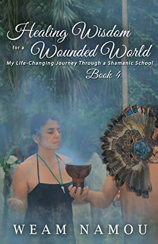cover image Healing Wisdom for a Wounded World: My Life-Changing Journey Through a Shamanic School, Book 4