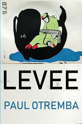 cover image Levee