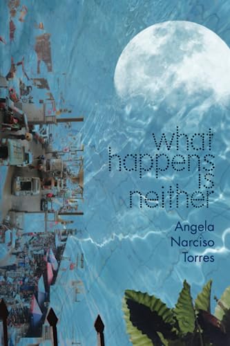 cover image What Happens Is Neither