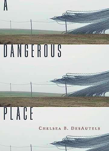 cover image A Dangerous Place