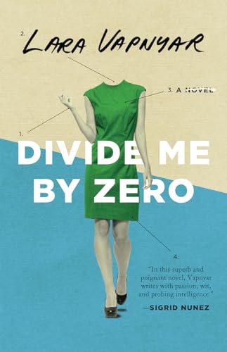 cover image Divide Me by Zero