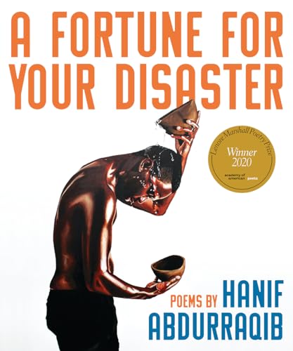 cover image A Fortune for Your Disaster