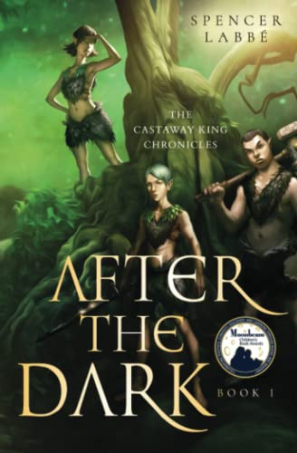cover image After the Dark: The Castaway King Chronicles