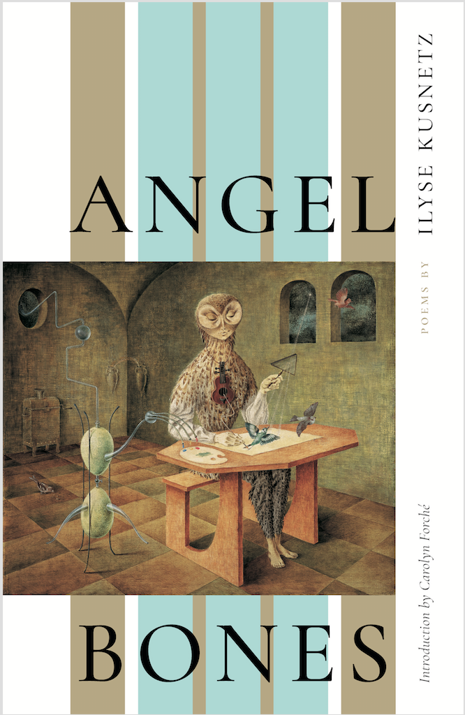 cover image Angel Bones