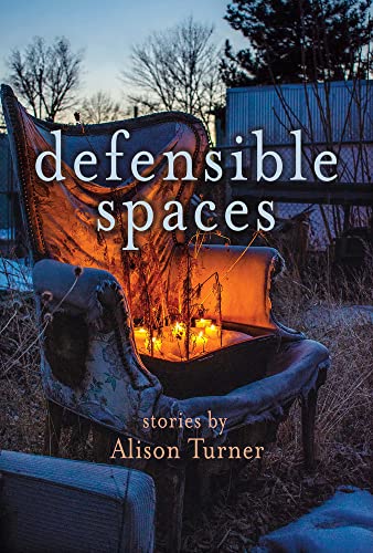 cover image Defensible Spaces