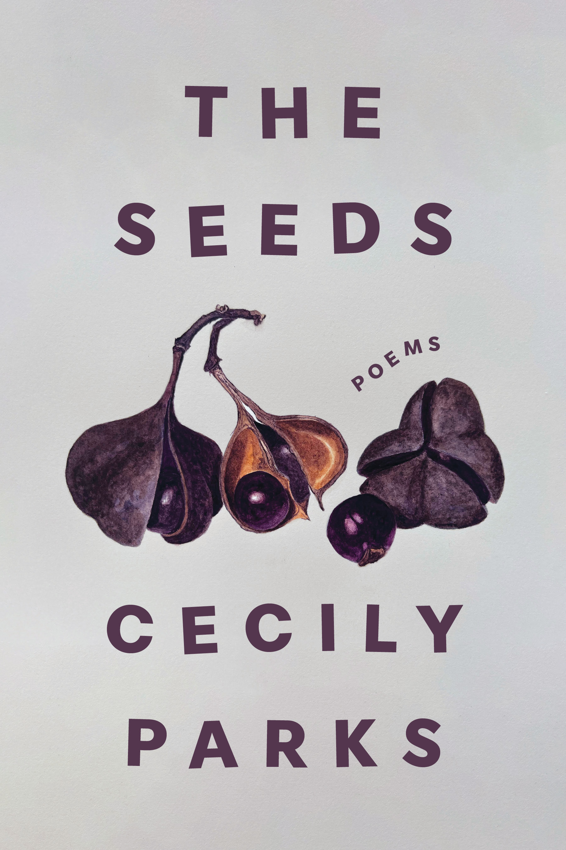 cover image The Seeds