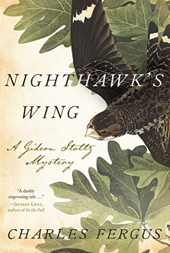 cover image Nighthawk’s Wing: A Gideon Stoltz Mystery