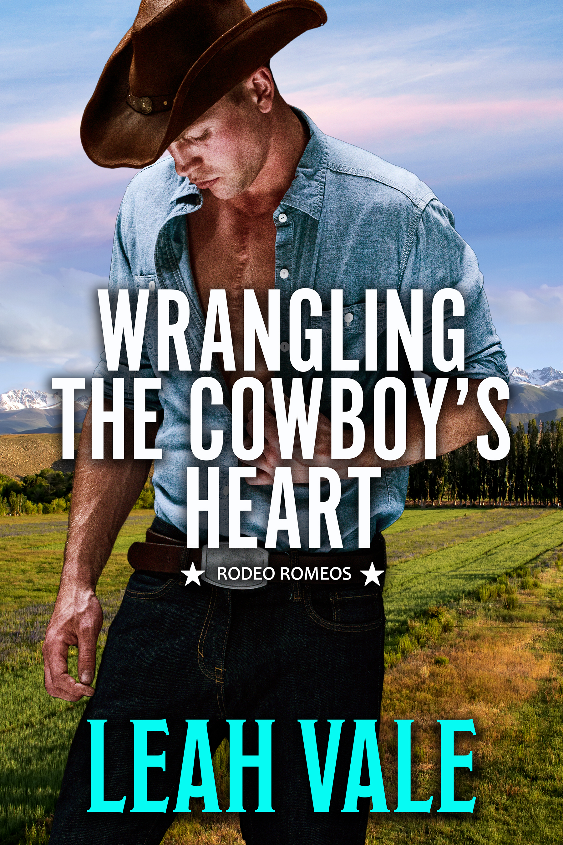 cover image Wrangling the Cowboy’s Heart