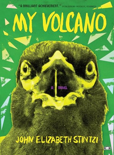cover image My Volcano
