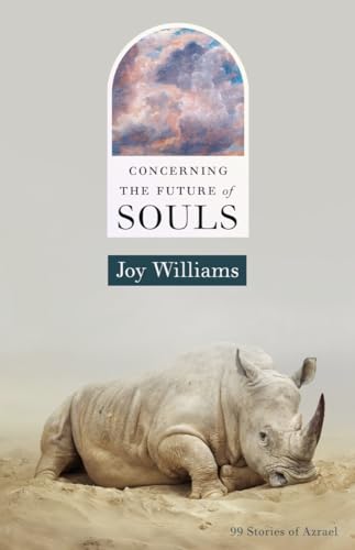 cover image Concerning the Future of Souls