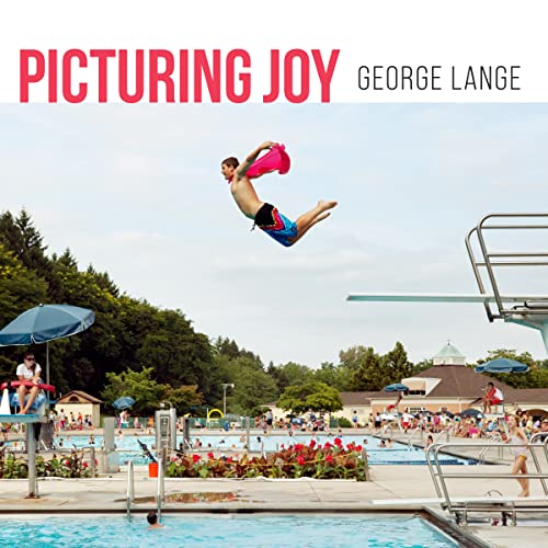 cover image Picturing Joy