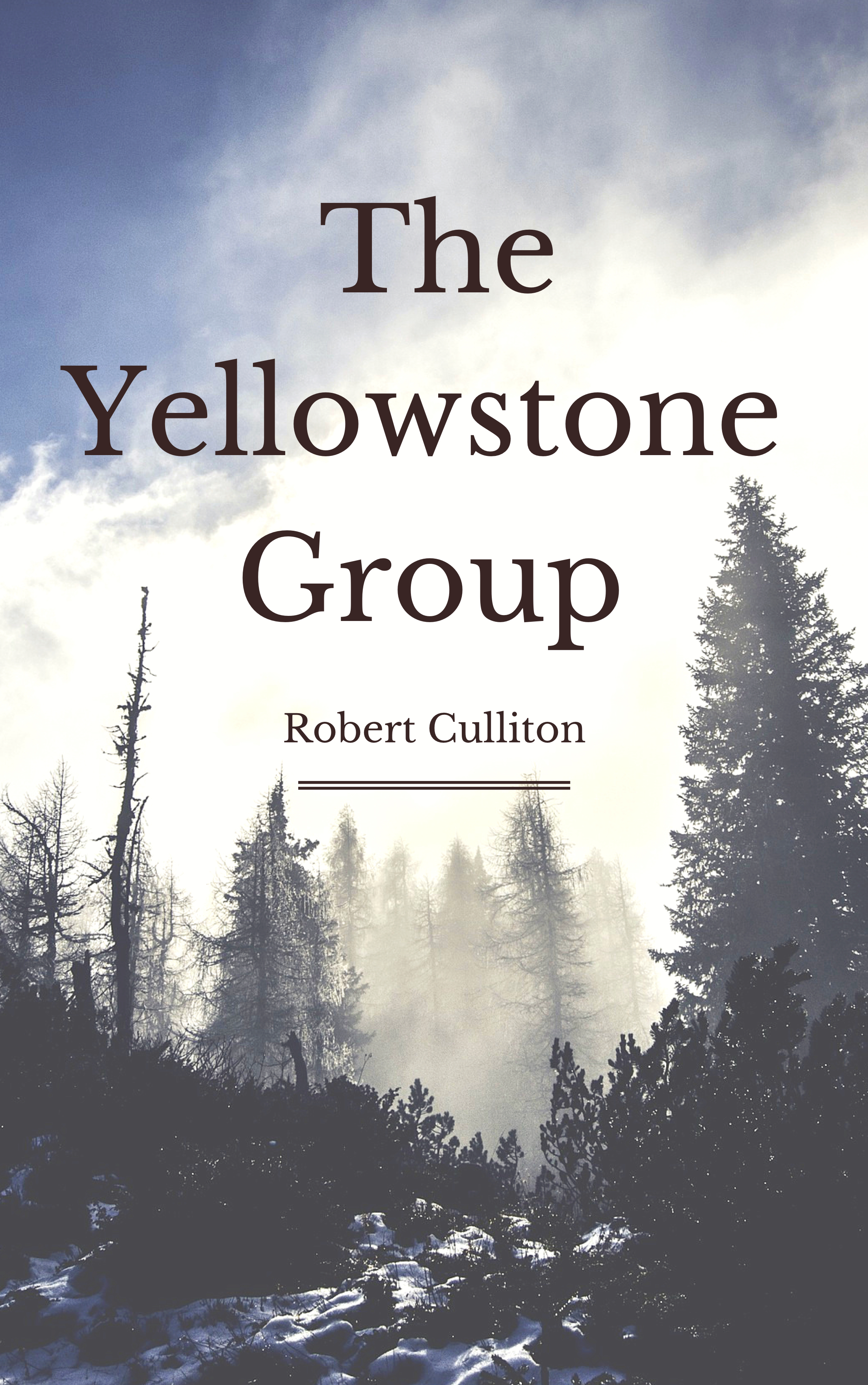 cover image The Yellowstone Group
