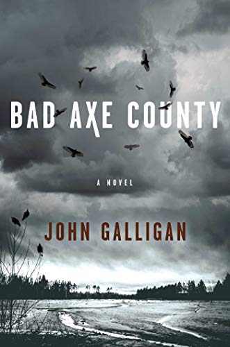 cover image Bad Axe County