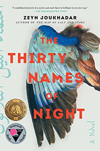 cover image The Thirty Names of Night