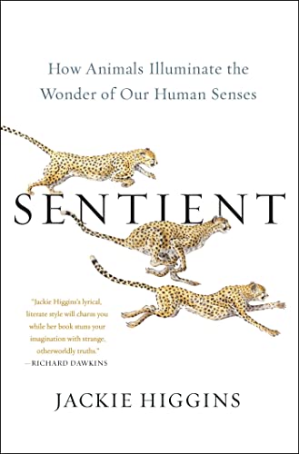 cover image Sentient: How Animals Illuminate the Wonder of Our Human Senses