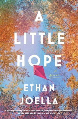cover image A Little Hope