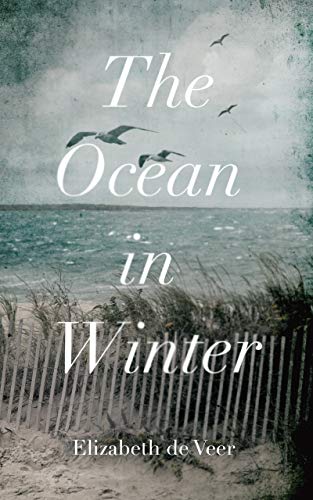 cover image The Ocean in Winter