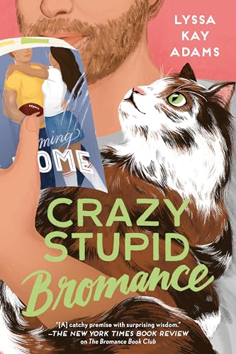 cover image Crazy Stupid Bromance