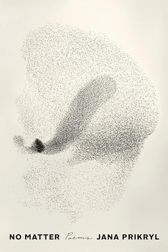 cover image No Matter