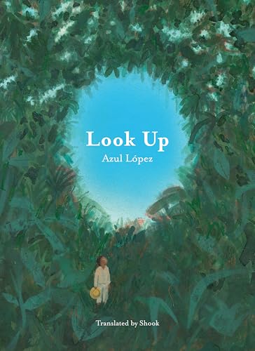 cover image Look Up 