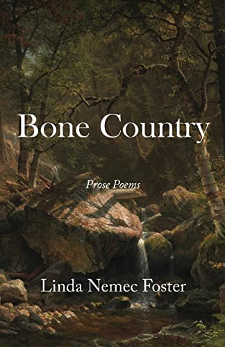 cover image Bone Country 