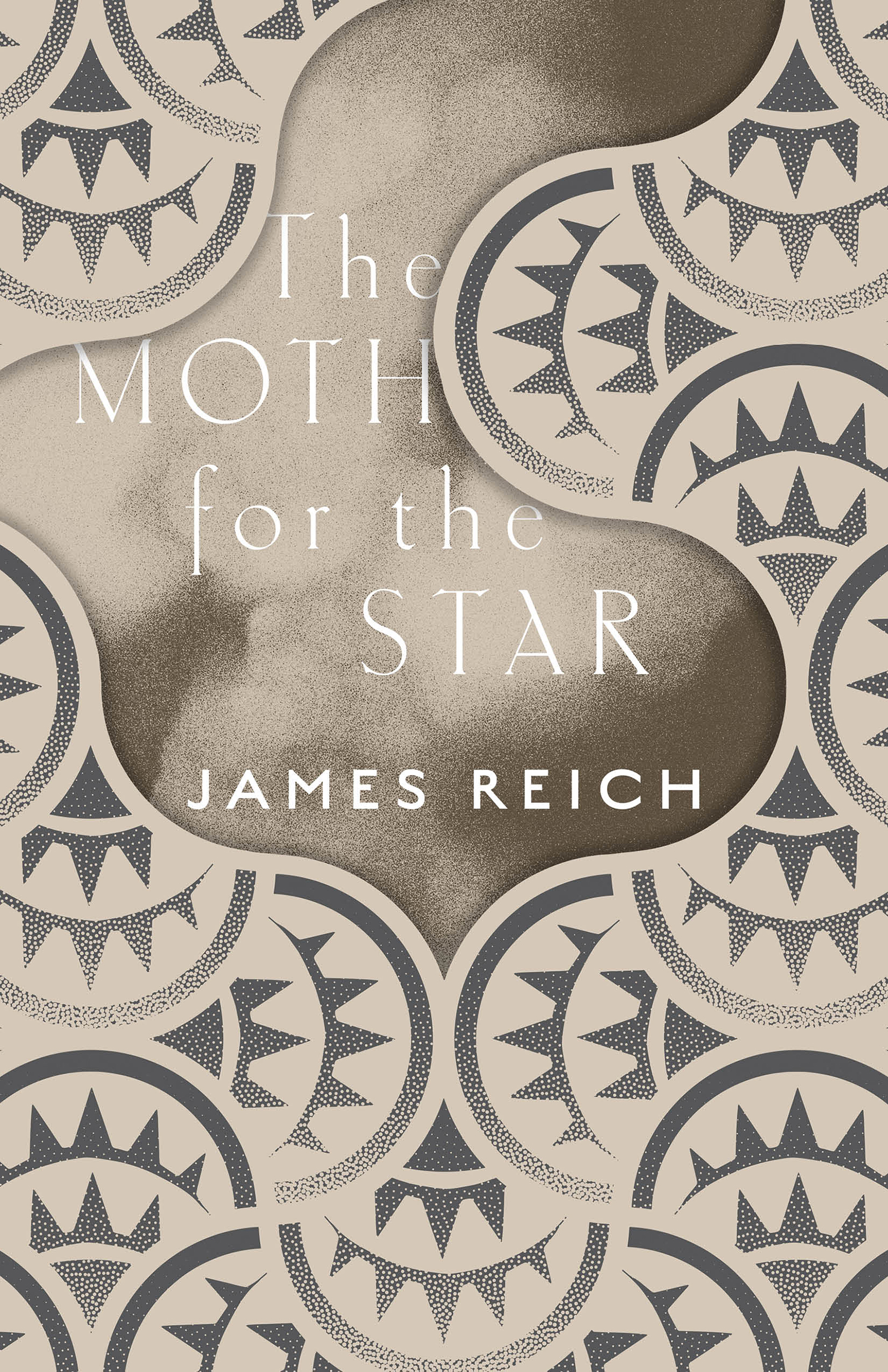 cover image The Moth for the Star