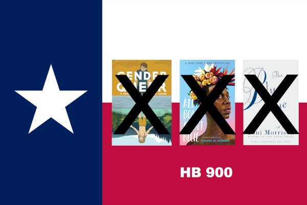 Amicus Briefs Urge Appeals Court to Uphold  on Block Texas Book Rating Law