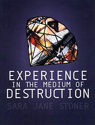 cover image Experience in the Medium of Destruction