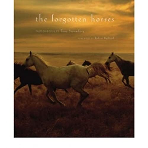 cover image The Forgotten Horses